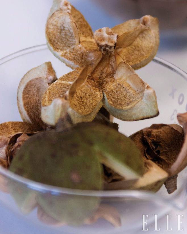 레드 까멜리아의 꽃잎은 물론 씨앗과 껍질까지 제품에 활용하고 있다.