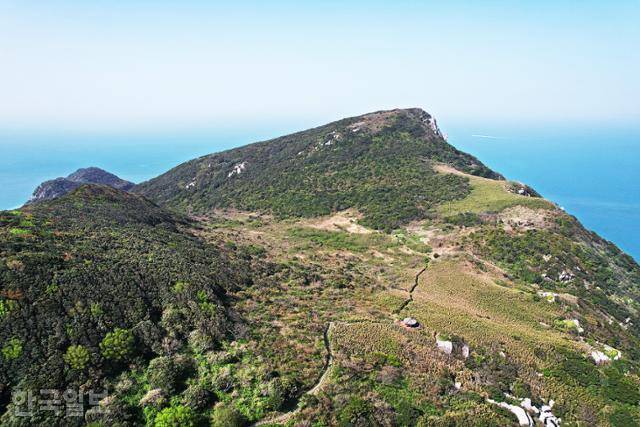 장도 정상 고위 평탄면에 형성된 습지. 물기 머금은 땅에 동백과 대숲, 버드나무 등이 어우러져 있다.