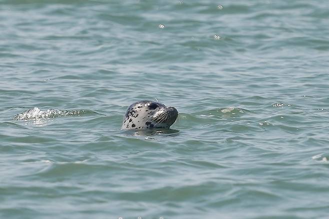 [사진 출처 = 충남도]
