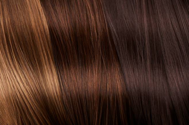 사진= 클립아트코리아