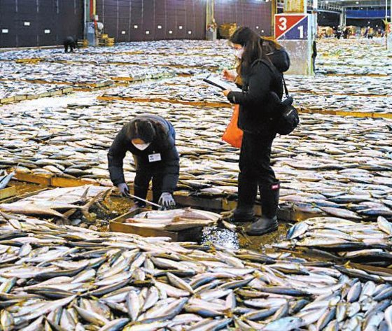 한국수산자원공단은 성공적인 어업 선진화 추진을 위해 현재 120명의 수산자원조사원을 적정 수준까지 늘리고 전담 조직을 확대 개편할 계획이다. [사진 한국수산자원공단]