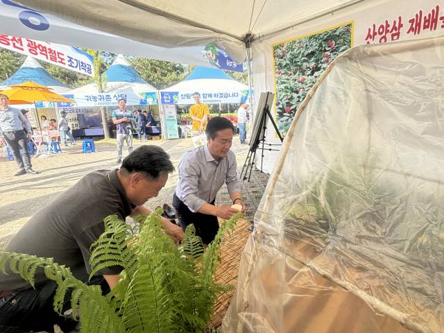 ▲ 강원n홍천 산나물 축제가 26~28일간 홍천 토리숲에서 열리는 가운데 산양삼부스에서 신영재 홍천군수가 심마니 제례의식 체험을 하고 있다.
