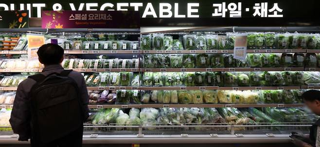 주요 농축산물 가격이 오르락내리락 하고 있다. 서울 소재 유통매장에서 과일·채소가 판매되고 있다. /사진=뉴시스