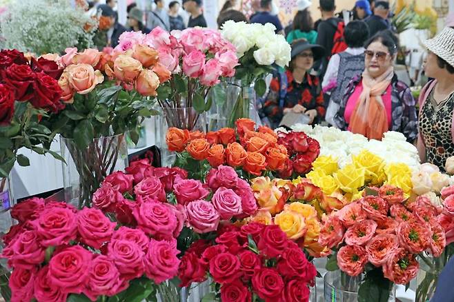일요일인 28일 경기도 고양시 일산 호수공원에서 개최된 '2024 고양국제꽃박람회'를 찾은 시민들이 꽃을 바라보며 즐거운 시간을 보내고 있다.사진=박범준 기자