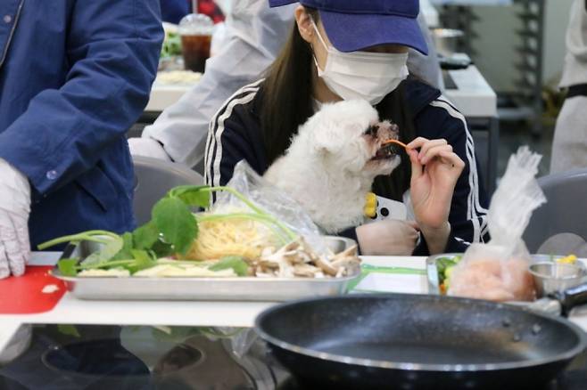 /사진제공=국립자연휴양림관리소