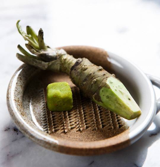 와사비. 게티이미지뱅크