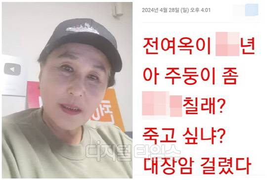 전여옥 전 국회의원. <디지털타임스 DB>