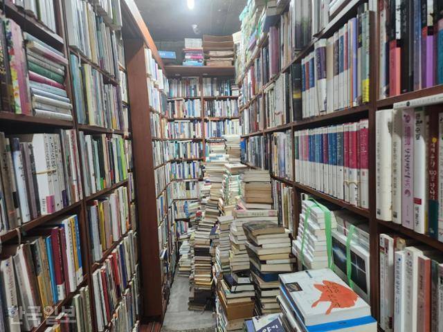 28일 오후 서울 마포구의 한 책방에 오래된 책이 쌓여 있다. 이서현 기자