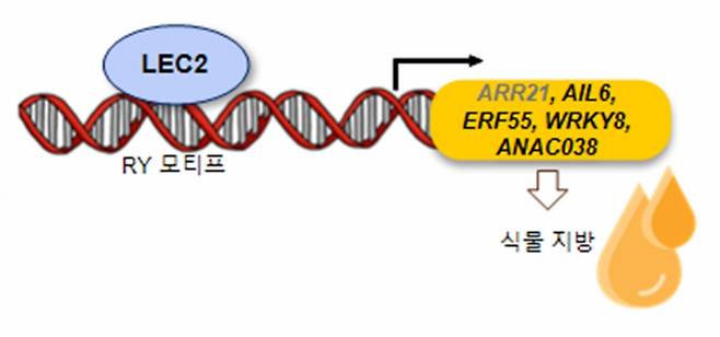 김현욱 세종대 교수팀의 연구자료 이미지./사진제공=세종대