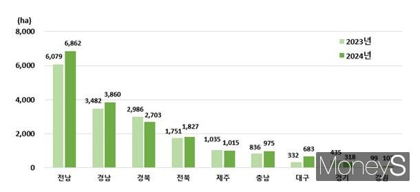 2024년 시도별 양파 재배면적/사진=통계청 제공.