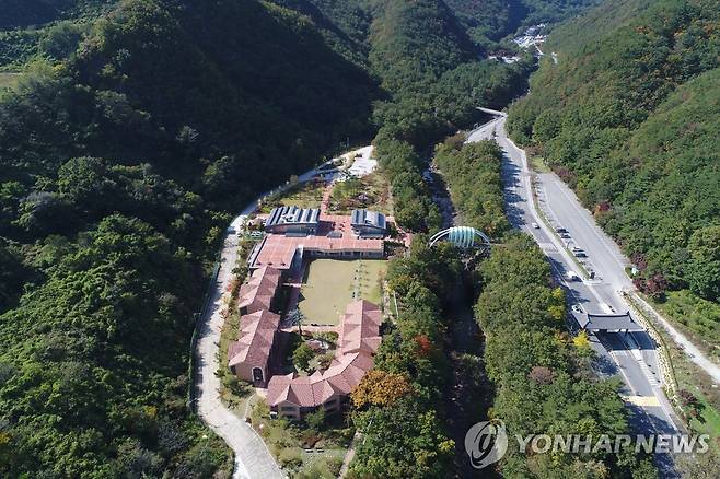 동해무릉건강숲 [연합뉴스 자료사진]