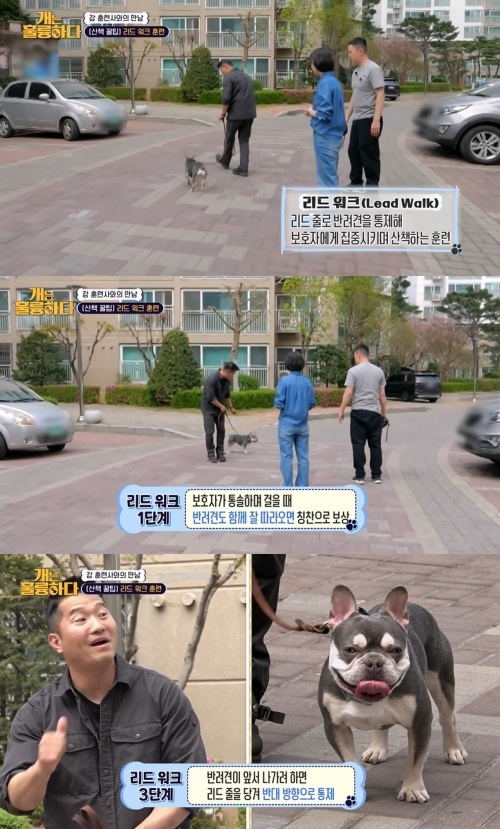 사진=강형욱과 빅/KBS 2TV ‘개는 훌륭하다’ 캡처