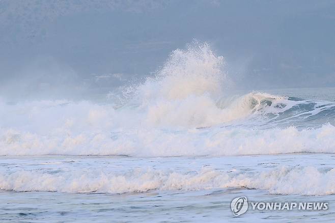 지난 1월 2일 오전 경북 포항시 북구 흥해읍 용한리 해변에 너울로 높은 물결이 일고 있다. [연합뉴스 자료사진]