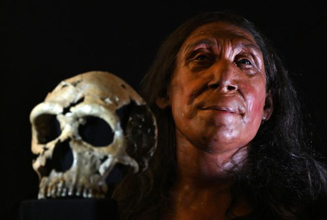 영국 케임브리지대 연구팀이 지난달 25일 7만5,000년 전 사망한 것으로 추정되는 네안데르탈인 여성 '샤니다르 Z'의 얼굴을 공개한 모습. AFP 연합뉴스