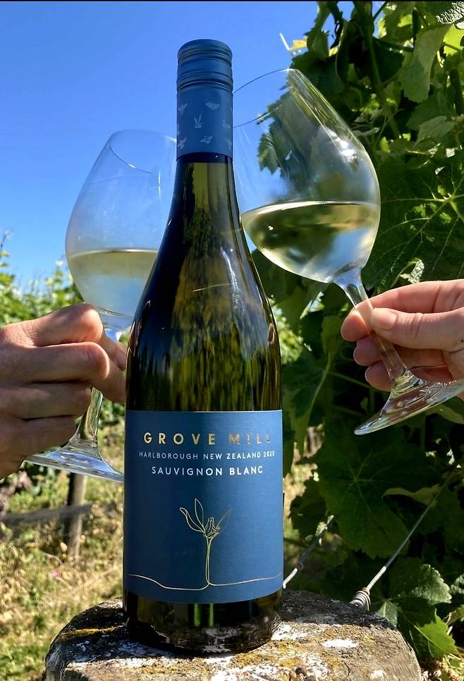 동원와인 수입 그로브밀 말보로 소비뇽블랑. 인스타그램