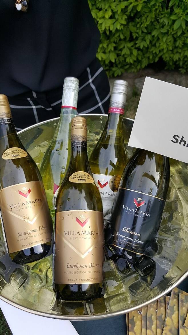 신동와인 수입 빌라 마리아 소비뇽블랑. 최현태 기자