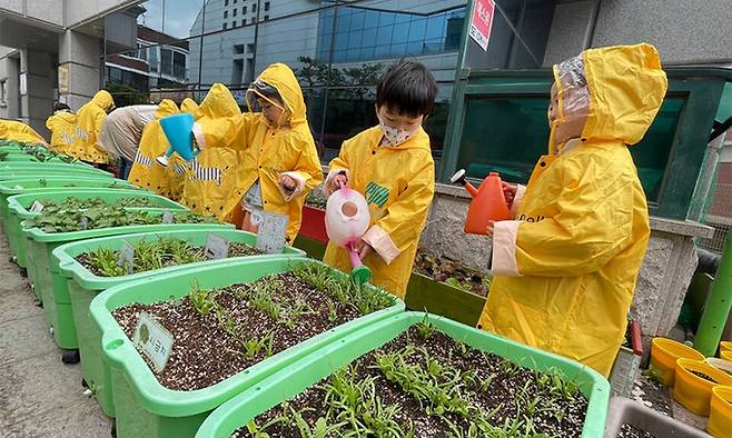 서울의 한 어린이집에서 ‘건강증진 텃밭정원 프로그램’에 참여한 아이들이 상자 텃밭에 물을 주고 있다. 농촌진흥청 제공