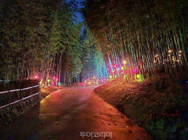 담양대나무축제 야간경관 /사진-담양군