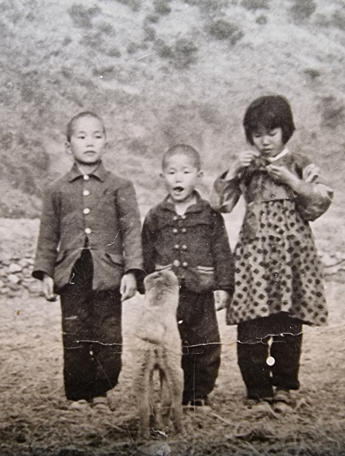 박용배(가운데) 목사의 유년 시절 모습으로 1960년대 초반 경북 의성 춘산면 들판에서 형과 누나, 바둑이와 함께했다.