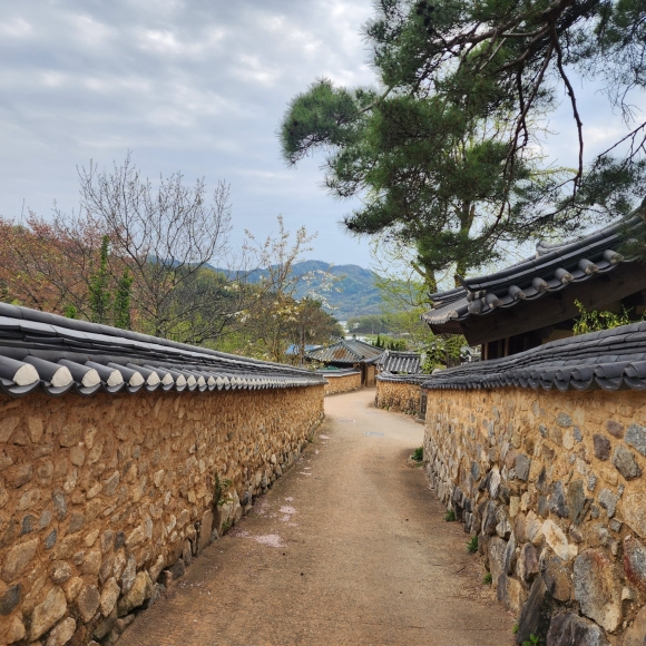 국가민속문화재로 지정된 한개마을은 우리나라의 전통마을의 정취를 느끼며 전통문화를 체험할 수 있다.