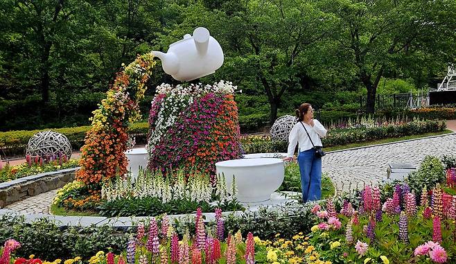 보성녹차다향대축제 4~7일 열려