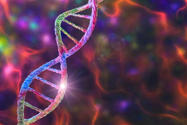 이중 나선 구조로 알려진 DNA의 모습. 유전자의 영향력은 생각 외로 압도적이다. 동아시아 출판사 제공