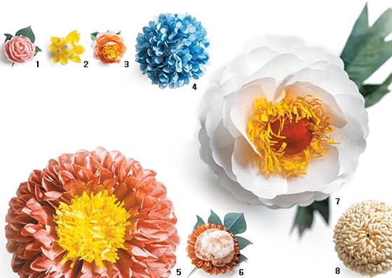 1 살모란 2 황연 3 작약 4 불두화 5 달리아 6 살겹작약 7 모란 8 대국.