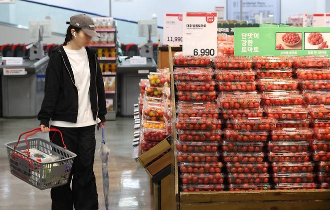 방울토마토와 참외 등 주요 과채 가격이 1년 전보다 높은 수준을 보였다. 5일 한국농수산식품유통공사(aT) 농산물유통정보에 따르면 방울토마토 소매가는 지난 3일 기준 1㎏에 1만748원으로 1년 전보다 42.2% 올랐다. 사진은 5일 오전 서울 시내 한 대형마트에 방울토마토가 진열돼 있다.    연합뉴스