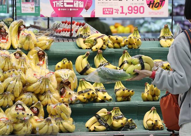 지난달 8일 서울의 한 대형마트에서 수입 과일을 고르는 시민의 모습. /연합뉴스
