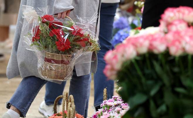어버이날을 이틀 앞둔 6일 오전 서울 서초구 양재꽃시장에서 시민이 카네이션 바구니을 구매하고 있다./사진-뉴시스