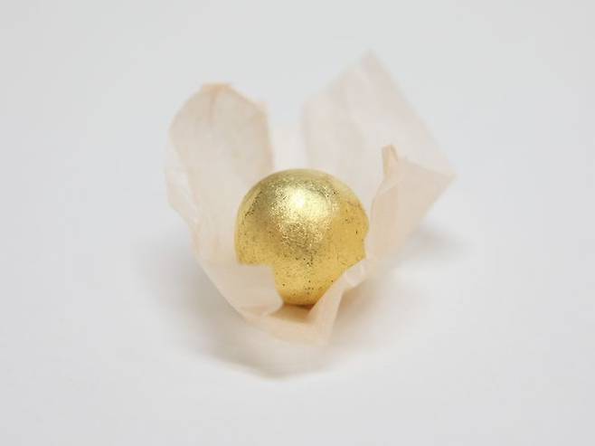 [서울=뉴시스] 4일 한의계에 따르면 마동석은 실제 생활에서도 공진단을 복용하는 것으로 알려졌으며, BTS 정국과 르세라핌 공진단을 챙겨먹는 것으로 알려졌다. (사진=자생한방병원 제공) 2024.05.03. photo@newsis.com *재판매 및 DB 금지