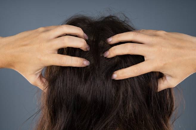 지방 섭취가 과도하게 부족하면 머리카락이 잘 빠질 수 있고, 설사처럼 변이 묽거나 잔변감이 느껴질 수 있다./사진=클립아트코리아