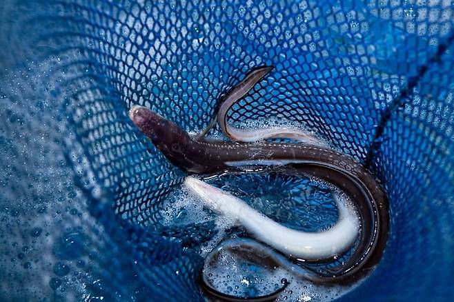 사진=게티이미지뱅크