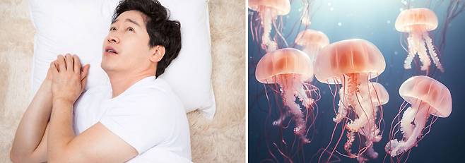 몸과 정신을 이완시키는 해파리 수면법에 익숙해지면 2분 만에 잠들 수 있다./사진=게티이미지뱅크