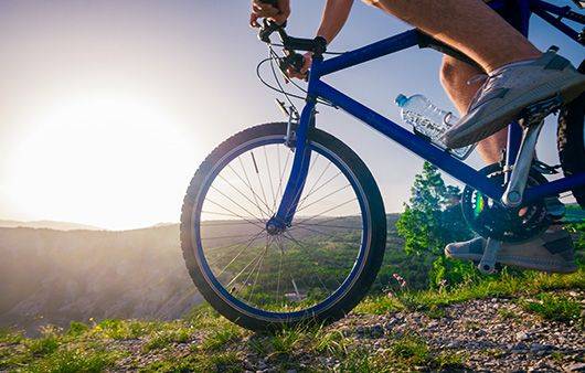 ⓒ게티이미지뱅크