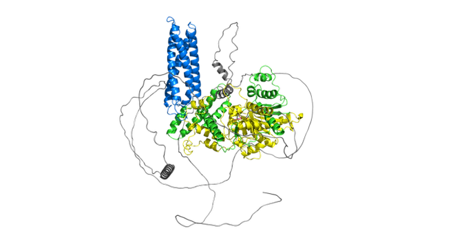 알파폴드2에 의해 생성된 단백질 구조 이미지. 사진 출처 위키미디어