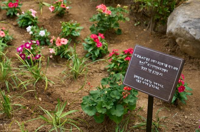 지난 9일, BAT로스만스 임직원들이 서울 중구의 골목길에 ‘꽃밭(꽃BAT)’을 조성했다.