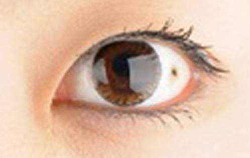 사진= 헬스조선DB