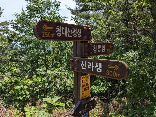 ▲ ‘속초사잇길 6길’ 표지판