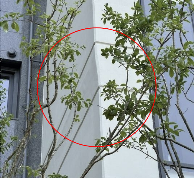 전남 무안 오룡 브랜드 아파트의 외벽이 휜 모습. 독자 제공