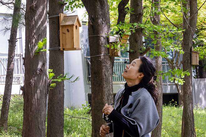 박임자 탐조책방 대표가 참새가 둥지를 튼 인공 새집을 살펴보고 있다. ⓒ시사IN 조남진
