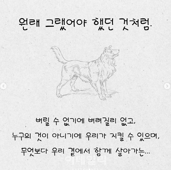 (사진=유기견숲 SNS 캡처)