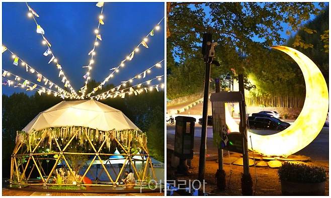 담양대나무축제/사진-담양군