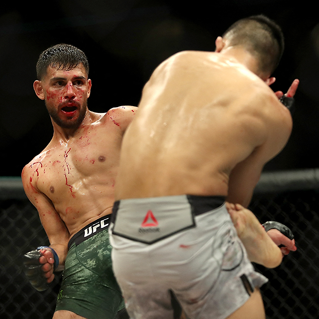야이르 로드리게스가 UFC 파이트 나이트 139 메인이벤트에서 정찬성을 킥으로 공격하고 있다. 사진=Getty Images=연합뉴스 제공