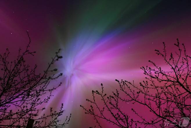 러시아 시베리아 옴스크 지역 남서부 마을 '타라' 상공에서 오로라가 하늘을 밝게 비추고 있다.2024.5.11 ⓒ 로이터=뉴스1