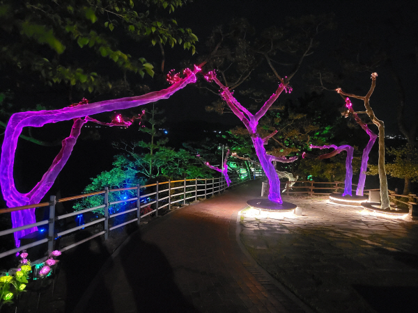 경남 사천을 대표하는 공원인 노산공원이 화려한 야경을 입고 빛공원으로 재탄생했다. 사천시 제공