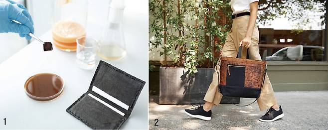 1 박테리아 셀룰로스로 만든 가죽 지갑. 박테리아가 가죽이 될 셀룰로스를 합성하면서 검은 색소를 만들어 염색까지 했다. 사진 영국 임페리얼 칼리지 런던2 실리콘밸리의 볼트 스레즈는 2018년 버섯 균사체를 배양해 만든 ‘마일로(Mylo)’라는 명칭의 비건 가죽을 개발했다. 이후 비건 가죽으로 만든 가방을 출시했지만, 가죽의 내구성을 높이려고 석유 유래 물질을 사용한 것으로 드러나 생산이 중단됐다. 사진 볼트 스레즈