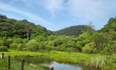 광주 무등산국립공원 내 평두메습지 전경. 환경부 제공
