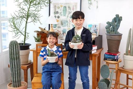 원지민(왼쪽)·변우빈 학생기자가 선인장에 대해 알아보고 선인장 분갈이를 하며 집에서 선인장을 잘 키우는 법을 배웠다.