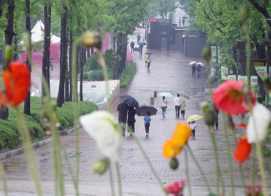 전국적으로 많은 비가 내린 지난 5일 서울 광진구 능동 어린이대공원을 찾은 시민들이 우산을 받쳐 든 채 공원을 걷고 있다. 뉴스1